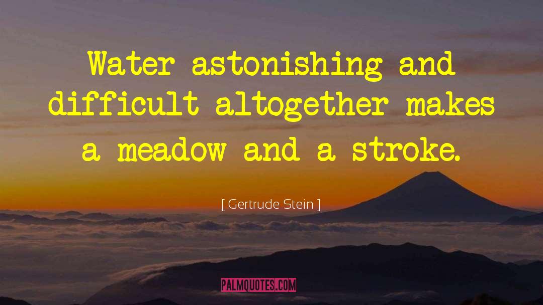 Astonishing Beauty quotes by Gertrude Stein