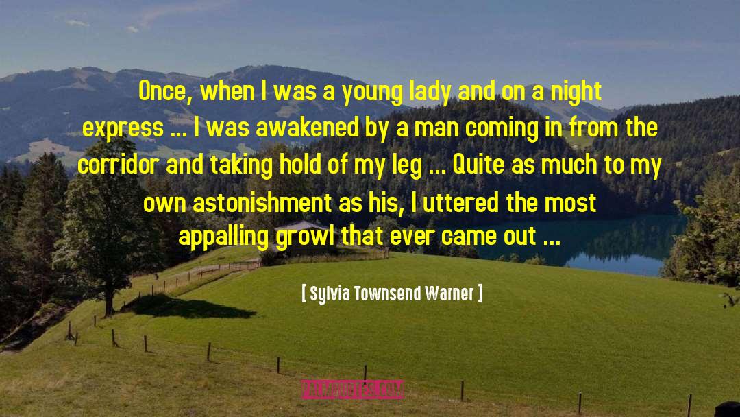Astonishment quotes by Sylvia Townsend Warner