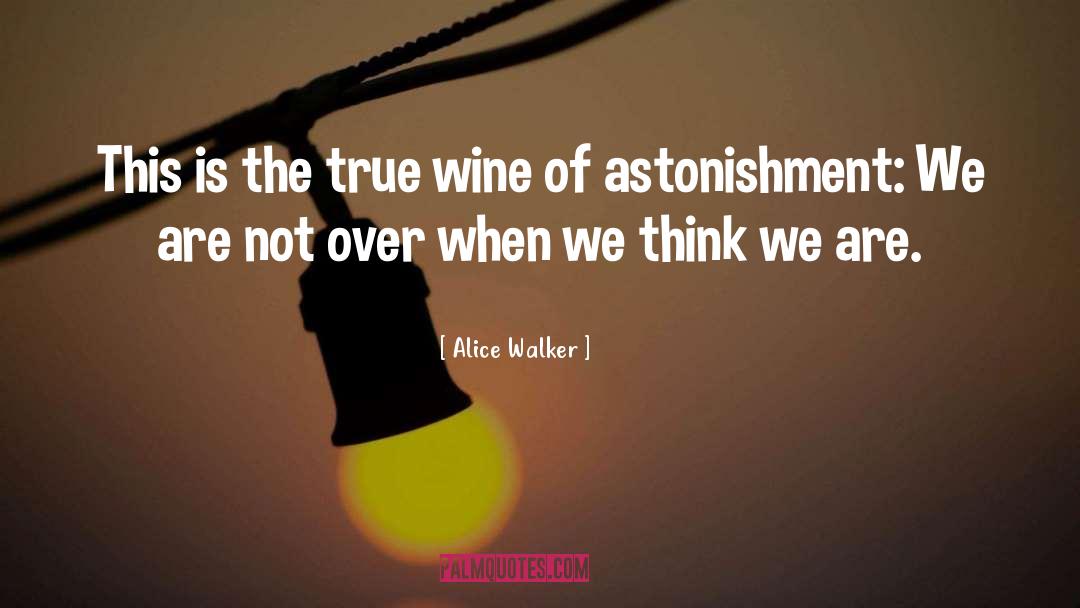Astonishment quotes by Alice Walker