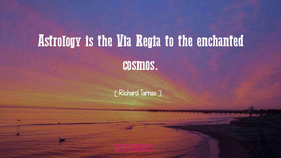 Astrology quotes by Richard Tarnas
