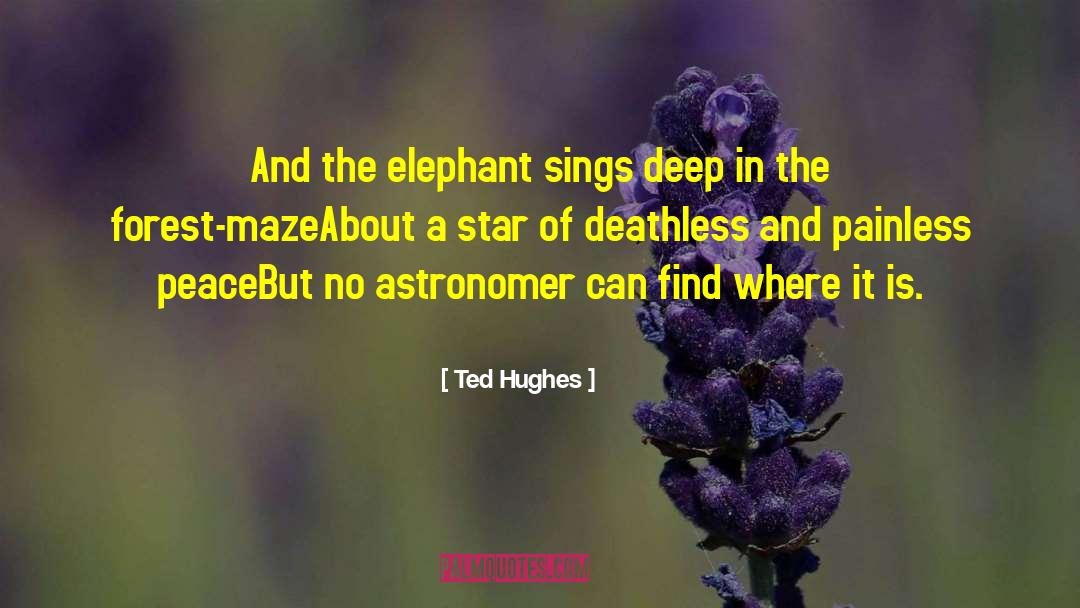 Astronomer quotes by Ted Hughes