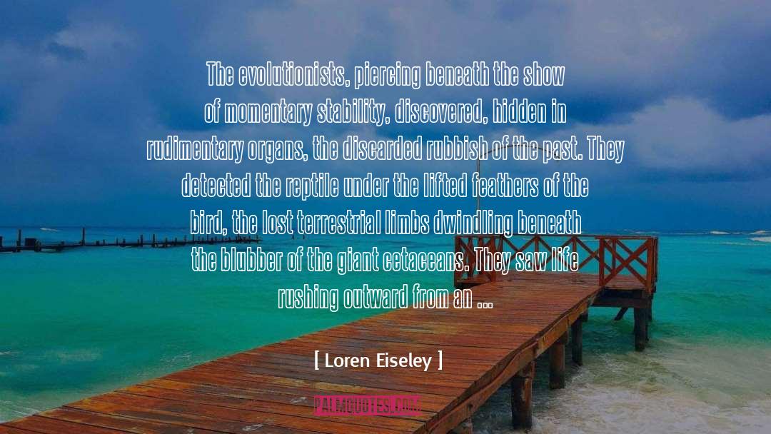 Astronomer quotes by Loren Eiseley