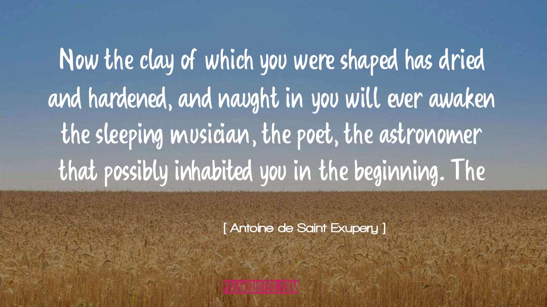 Astronomer quotes by Antoine De Saint Exupery