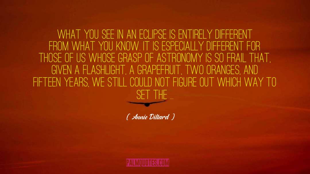 Astronomy Nerd quotes by Annie Dillard