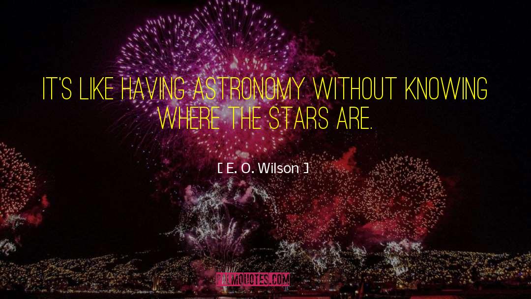 Astronomy quotes by E. O. Wilson