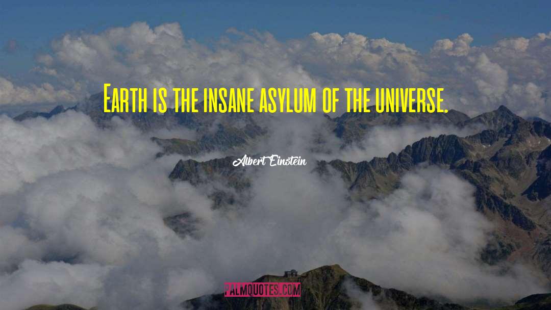 Asylums quotes by Albert Einstein