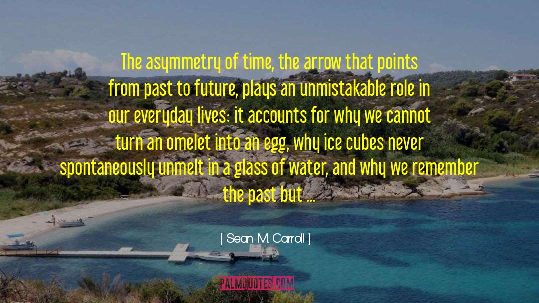 Asymmetry quotes by Sean M. Carroll