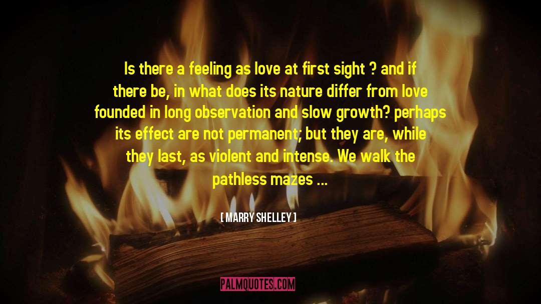 At First Sight quotes by Marry Shelley