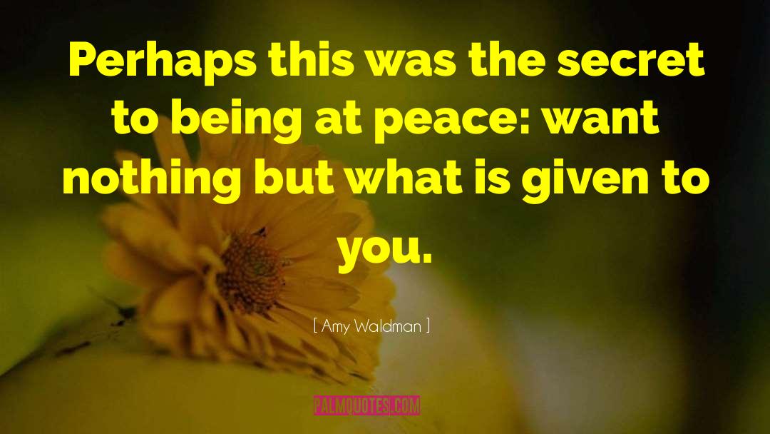 At Peace quotes by Amy Waldman