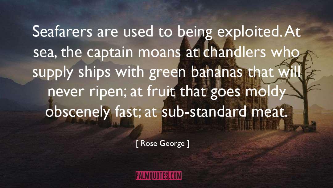 At Sea quotes by Rose George