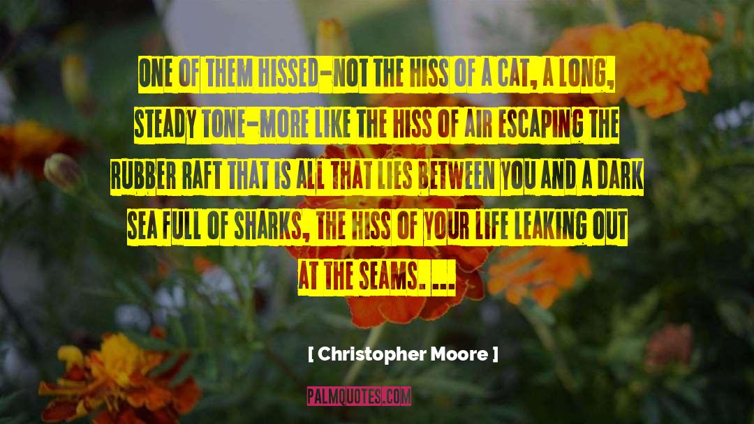 At The Seams quotes by Christopher Moore