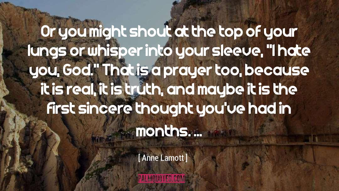 At The Top quotes by Anne Lamott