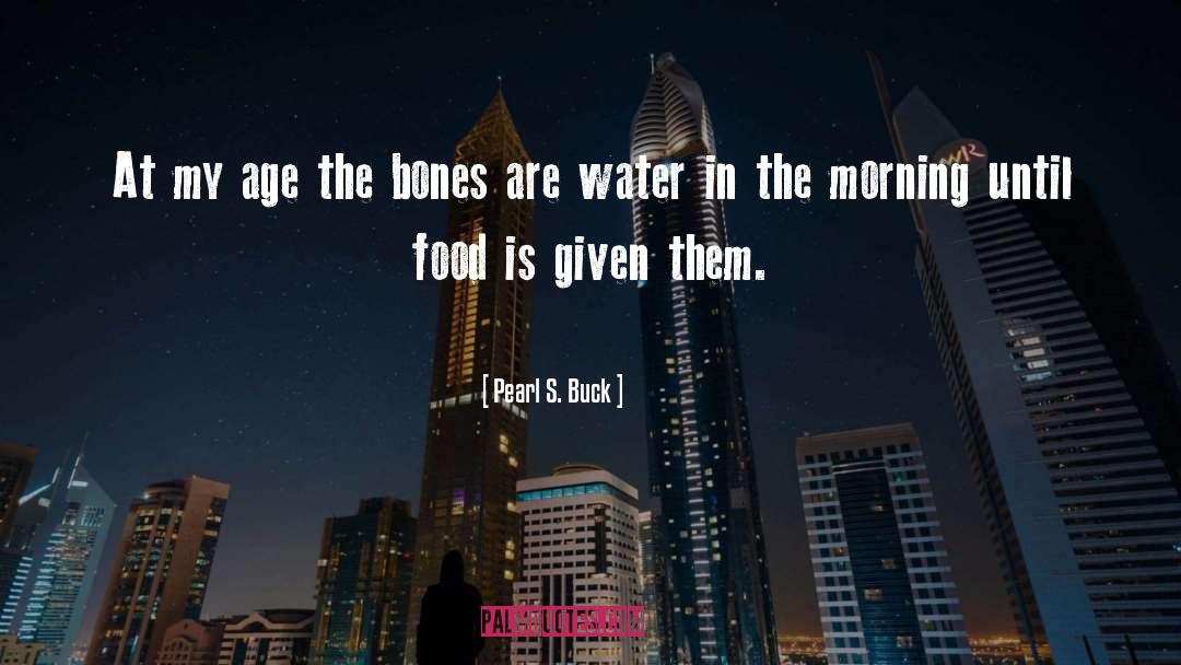 At The Water S Edge quotes by Pearl S. Buck