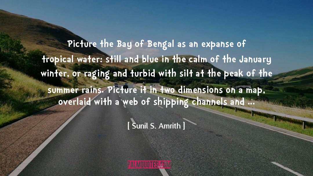 At The Water S Edge quotes by Sunil S. Amrith