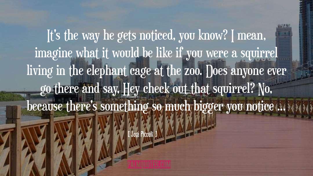 At The Zoo quotes by Jodi Picoult