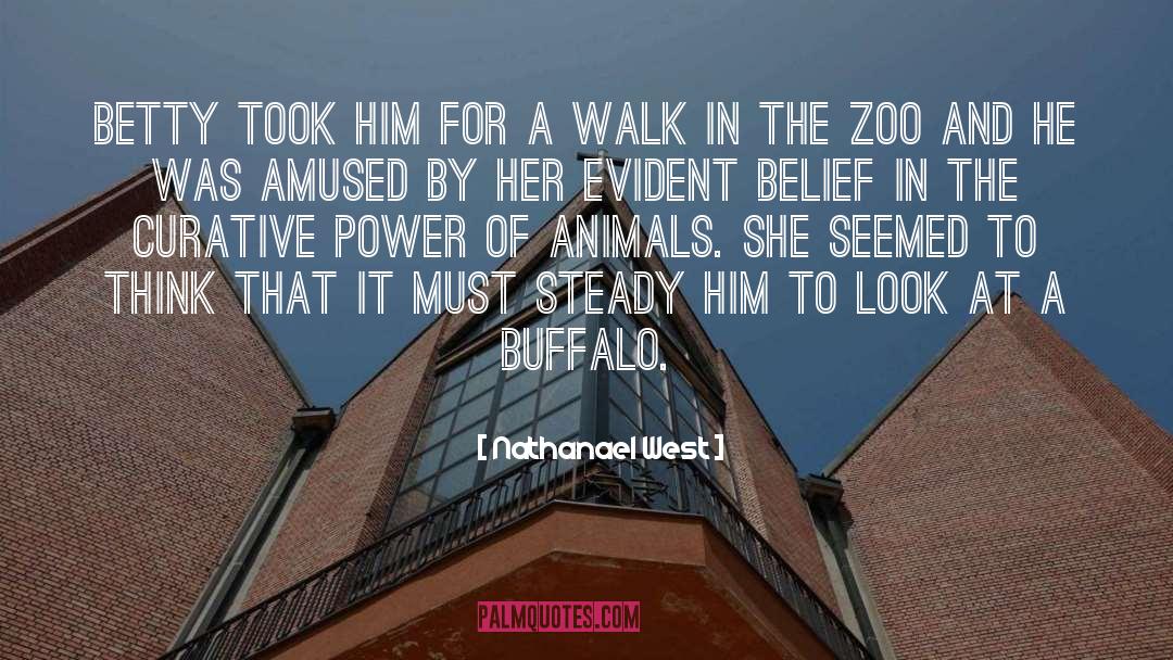 At The Zoo quotes by Nathanael West