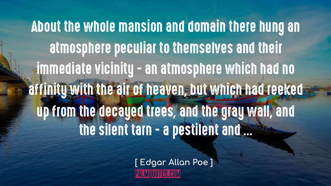 Atmosphere quotes by Edgar Allan Poe