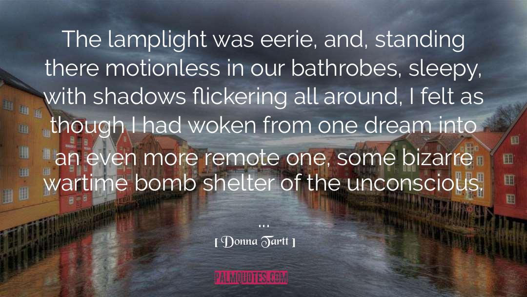 Atmospheric quotes by Donna Tartt