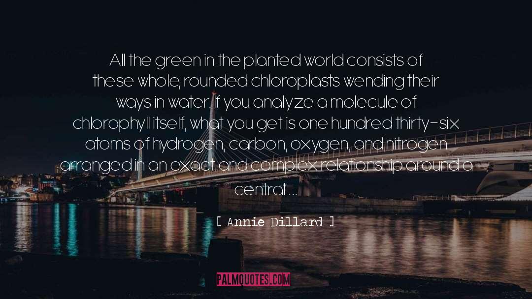Atom quotes by Annie Dillard