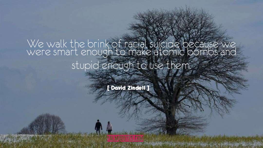 Atomic Bomb quotes by David Zindell