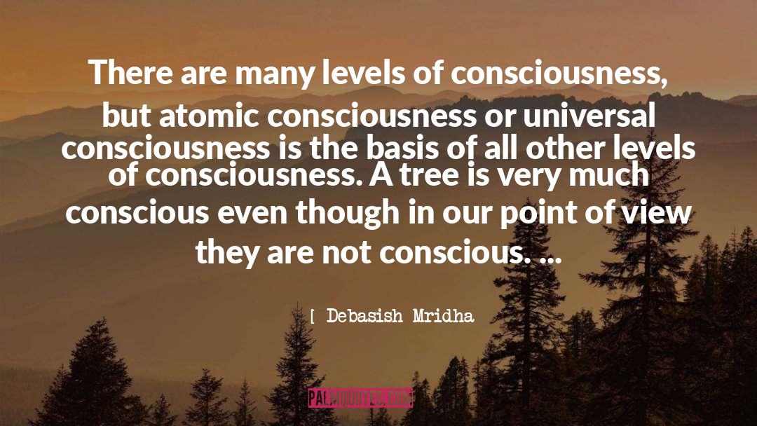 Atomic Consciousness quotes by Debasish Mridha