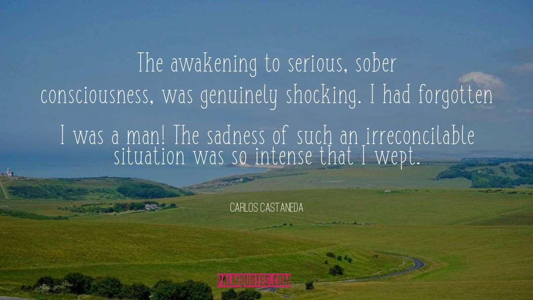 Atomic Consciousness quotes by Carlos Castaneda