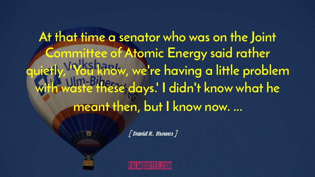 Atomic Energy quotes by David R. Brower