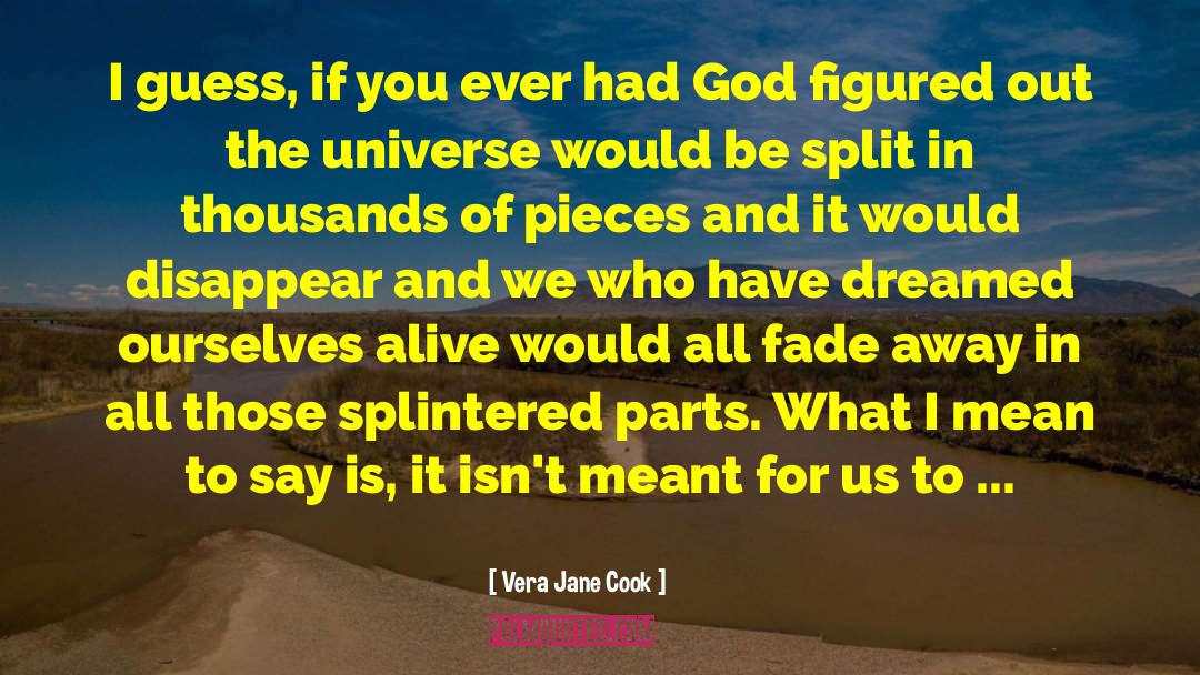 Atoms In The Universe quotes by Vera Jane Cook