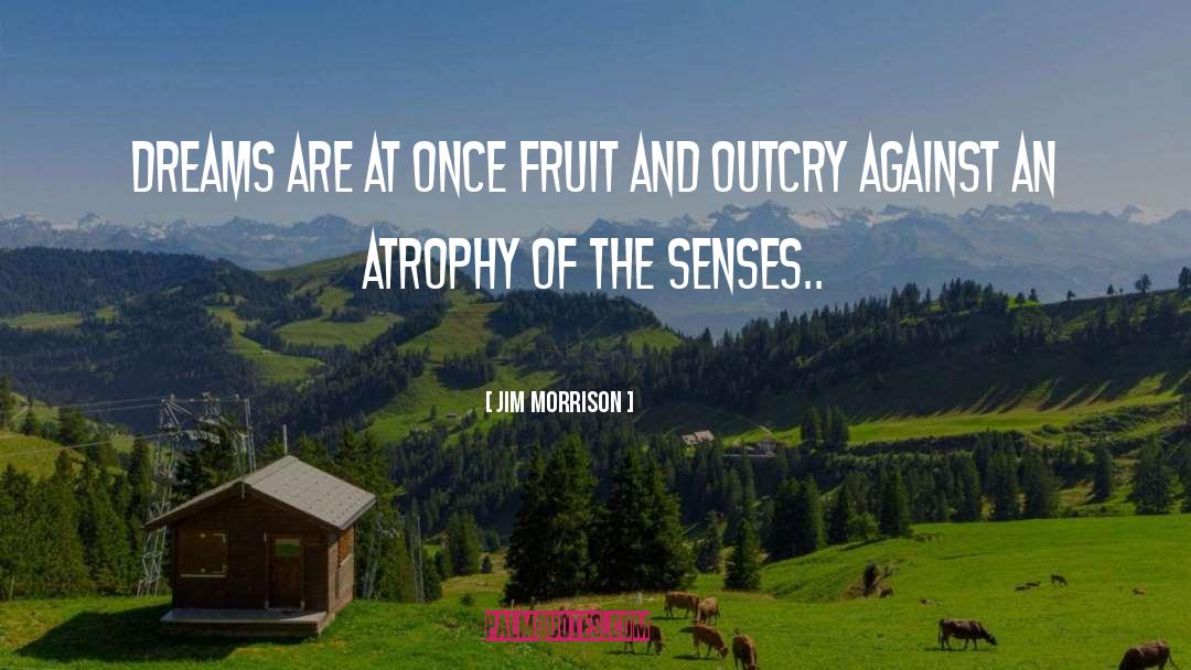 Atrophy quotes by Jim Morrison