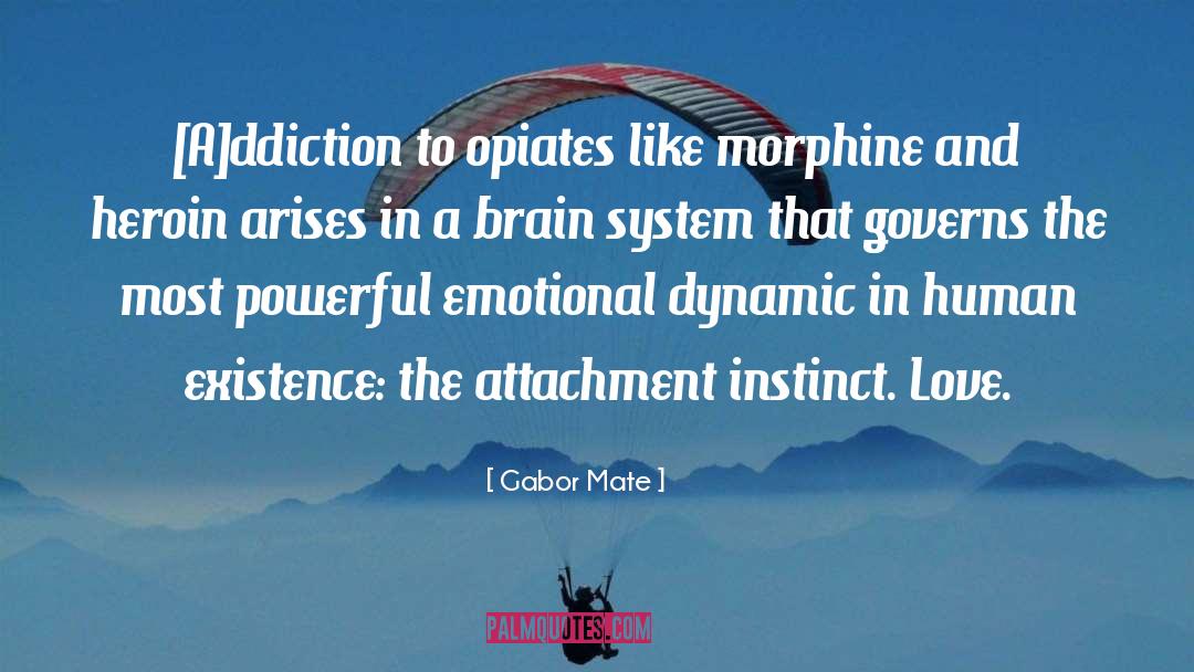 Attachment Bond quotes by Gabor Mate