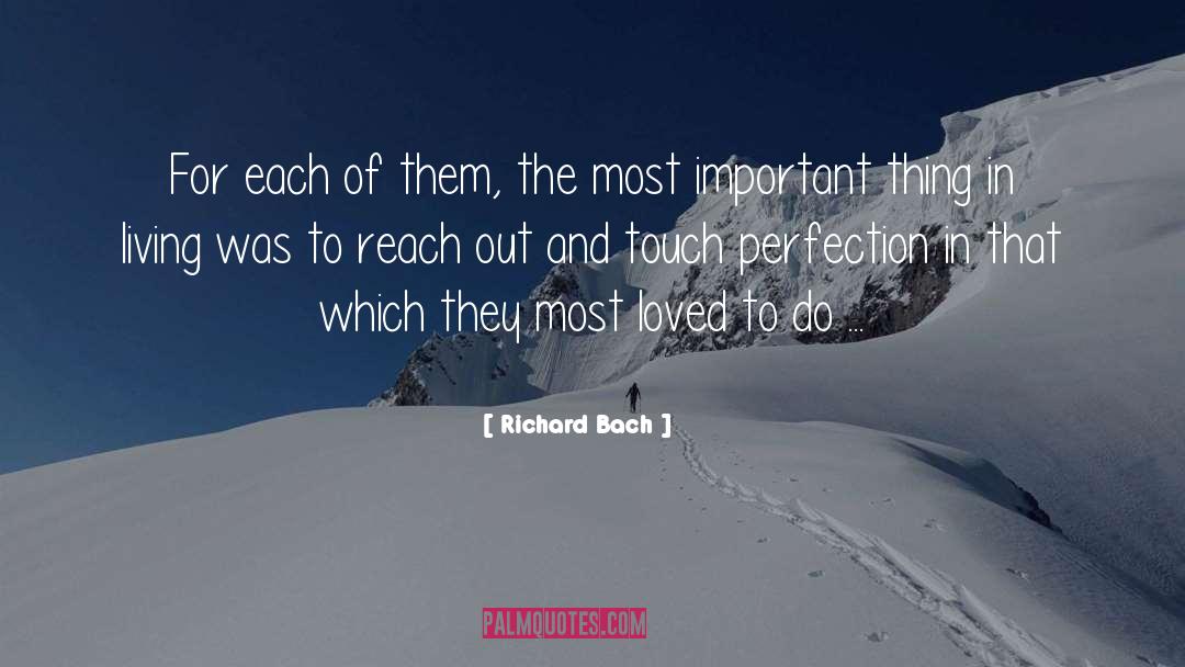 Attaining Perfection quotes by Richard Bach