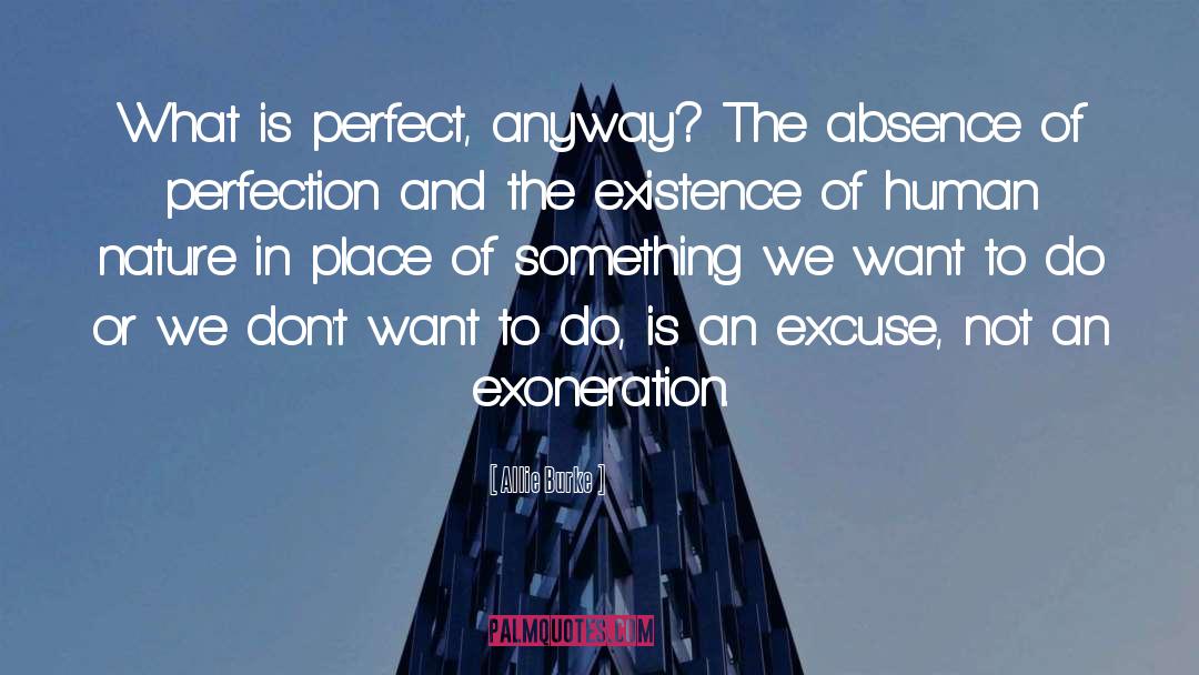 Attaining Perfection quotes by Allie Burke