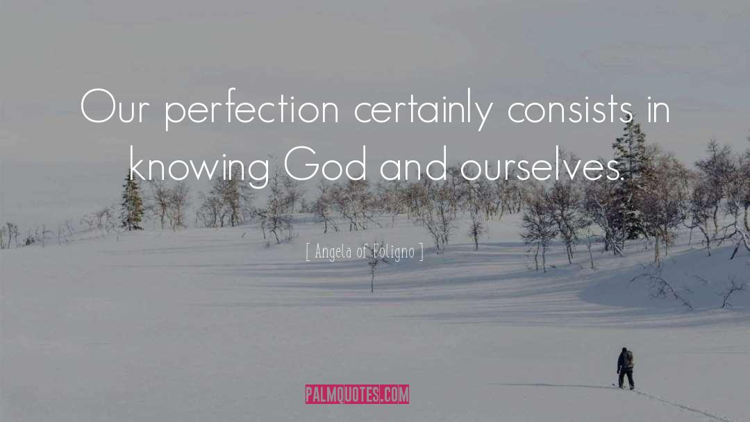 Attaining Perfection quotes by Angela Of Foligno