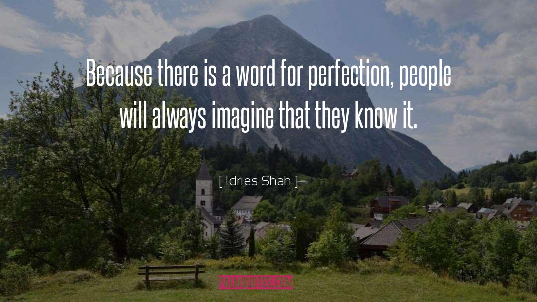 Attaining Perfection quotes by Idries Shah