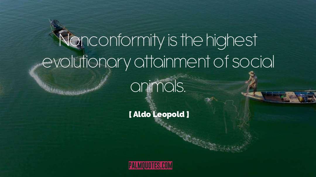 Attainment quotes by Aldo Leopold