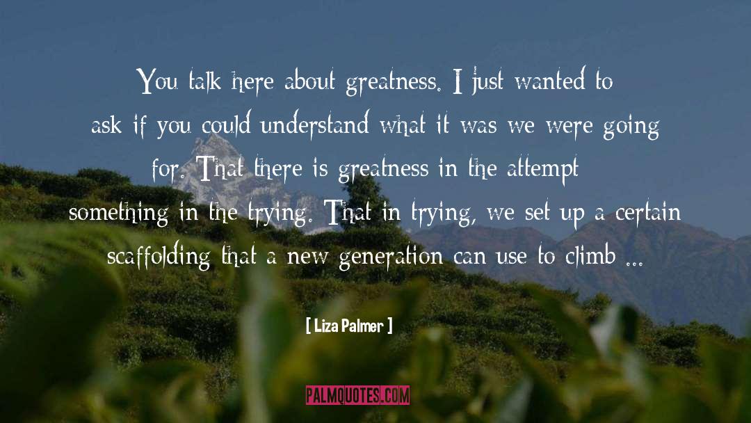 Attempt quotes by Liza Palmer