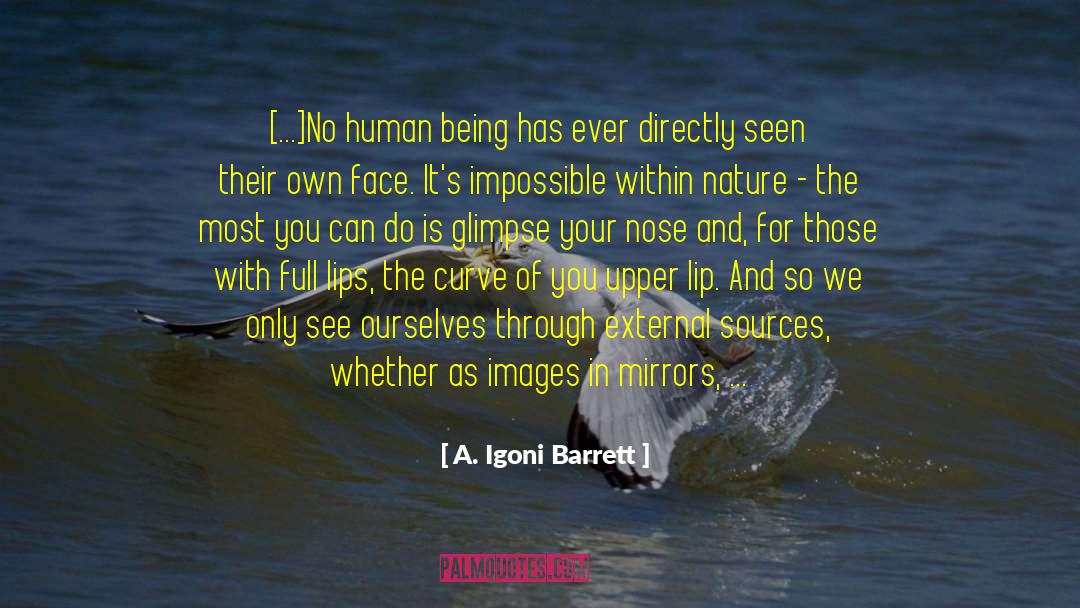 Attempting The Impossible quotes by A. Igoni Barrett