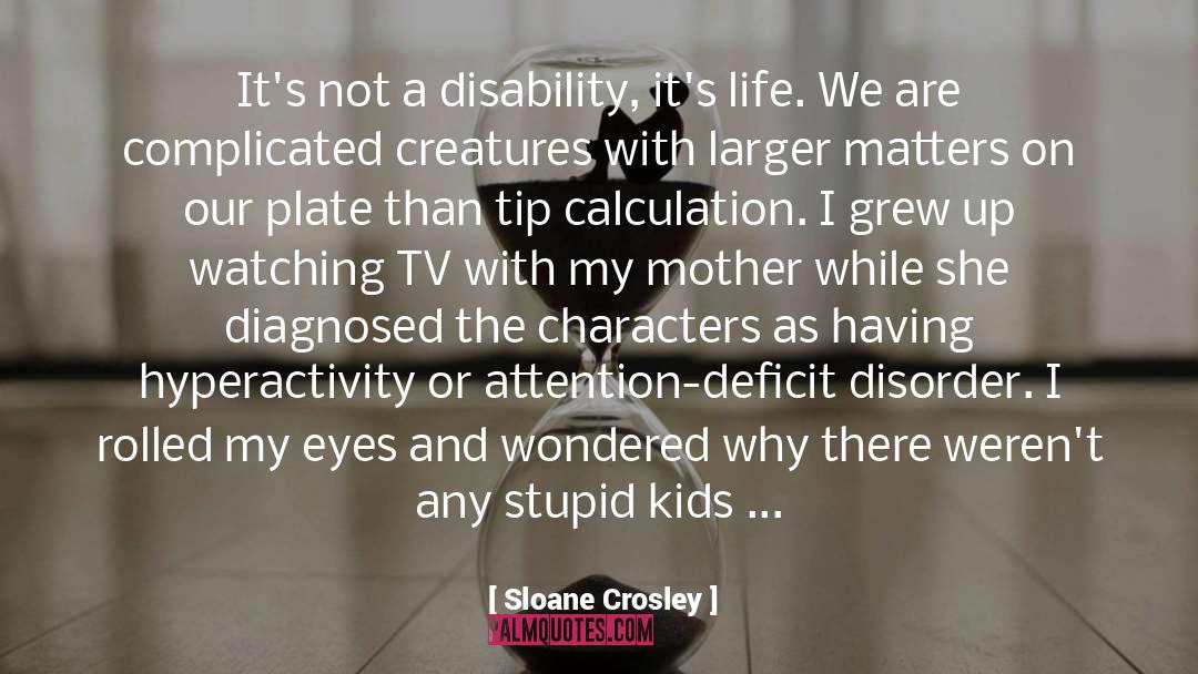 Attention Deficit Disorder quotes by Sloane Crosley