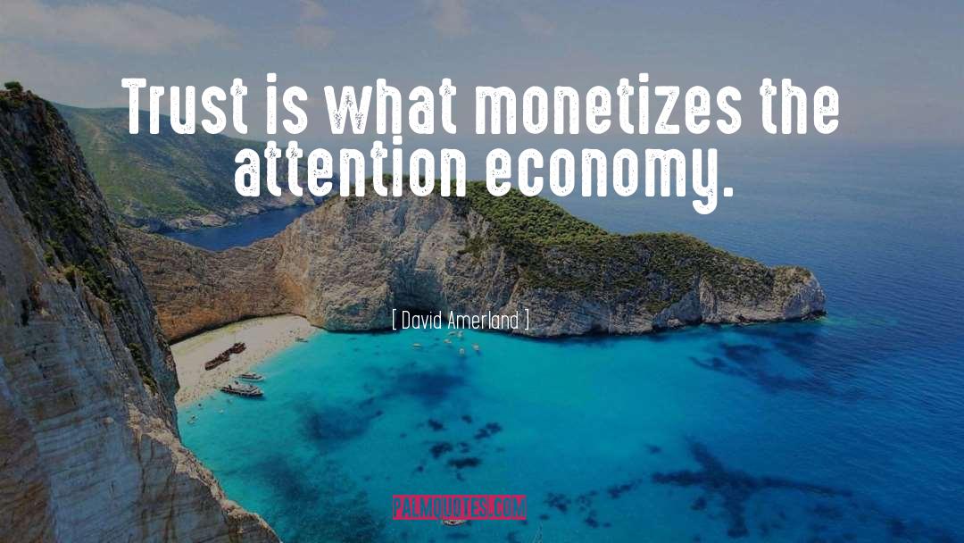 Attention Economy quotes by David Amerland