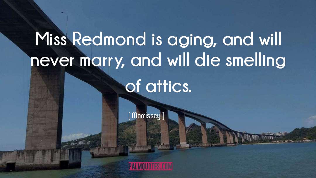 Attics quotes by Morrissey