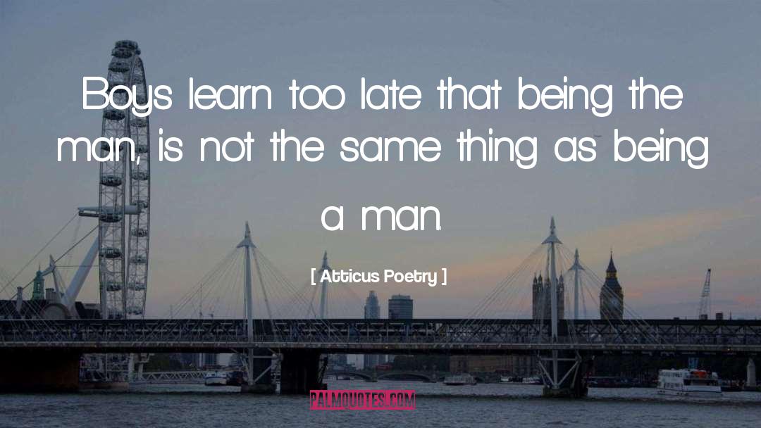 Atticus Being A Mockingbird quotes by Atticus Poetry