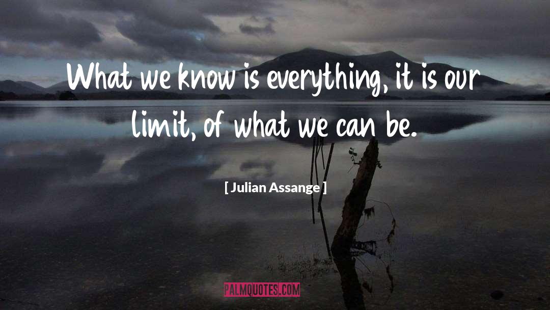 Attittude quotes by Julian Assange