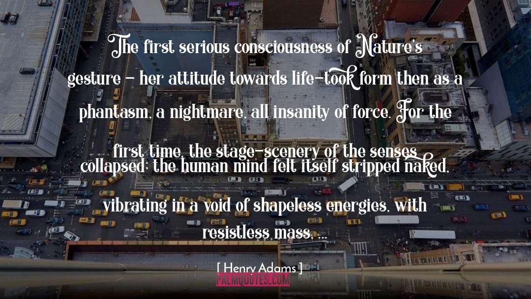 Attitude Towards Life quotes by Henry Adams