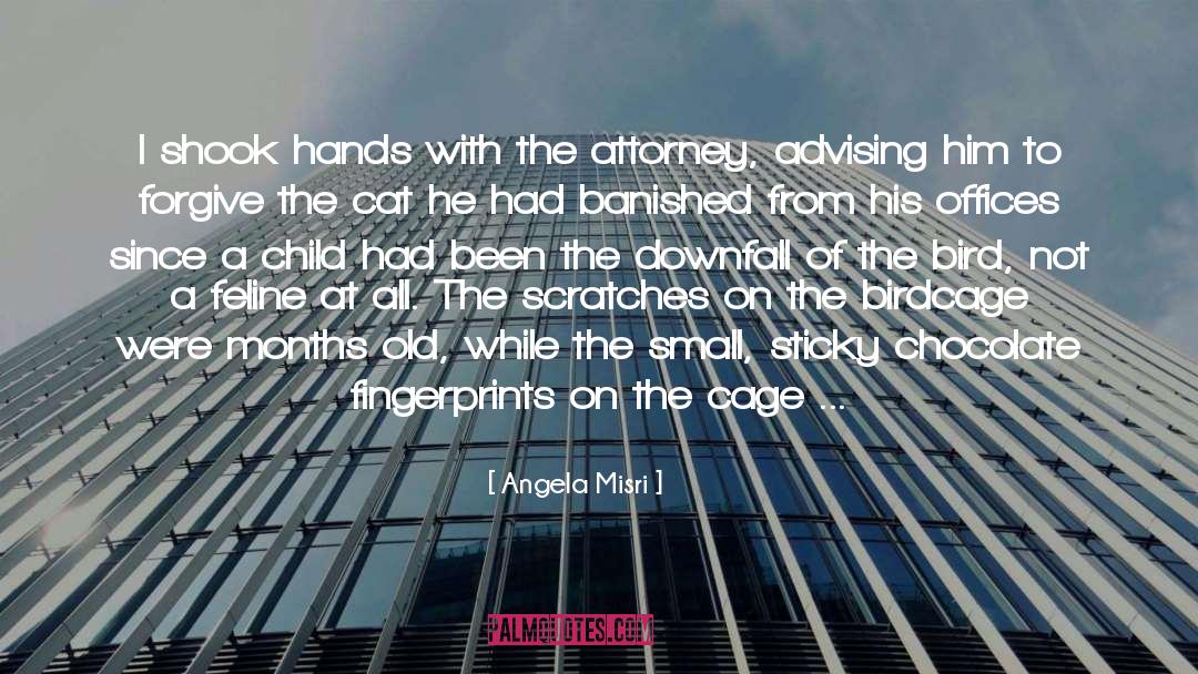 Attorney quotes by Angela Misri