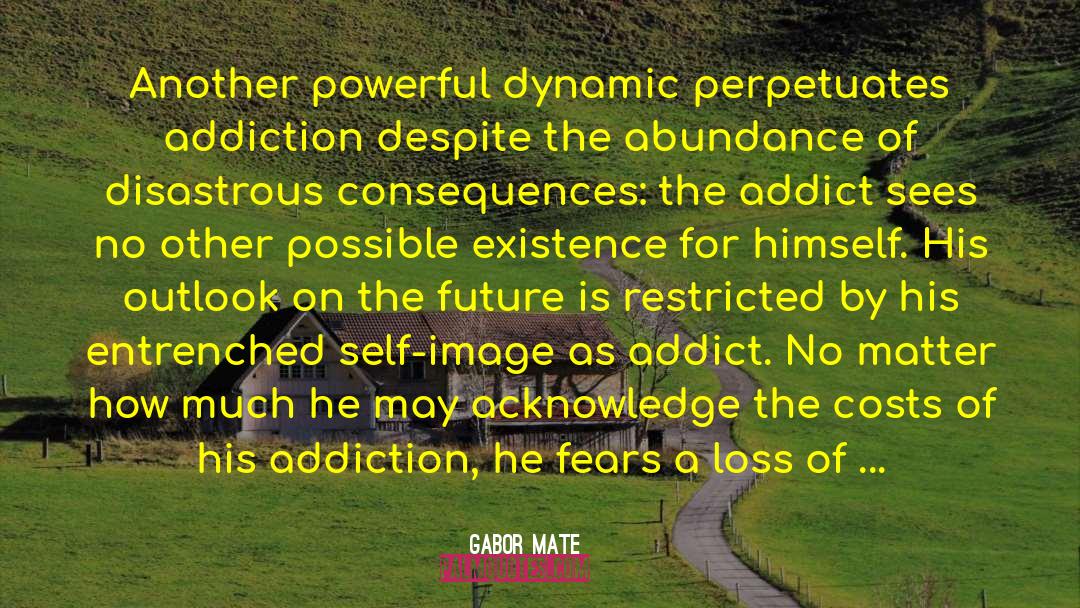 Attract Abundance quotes by Gabor Mate