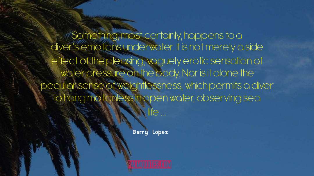 Attract Beauty quotes by Barry  Lopez