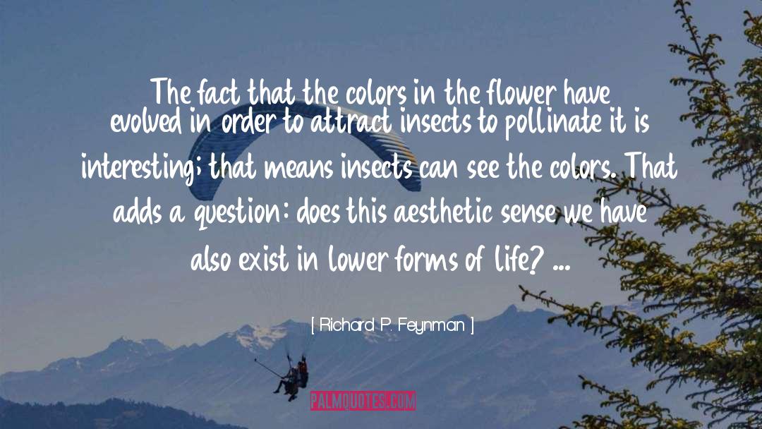 Attract Beauty quotes by Richard P. Feynman