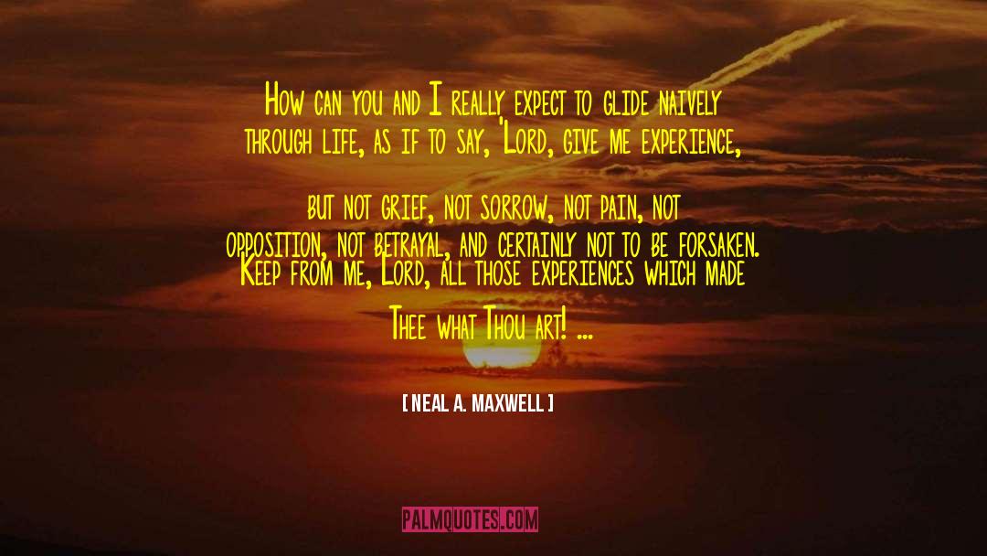 Attract What You Expect quotes by Neal A. Maxwell