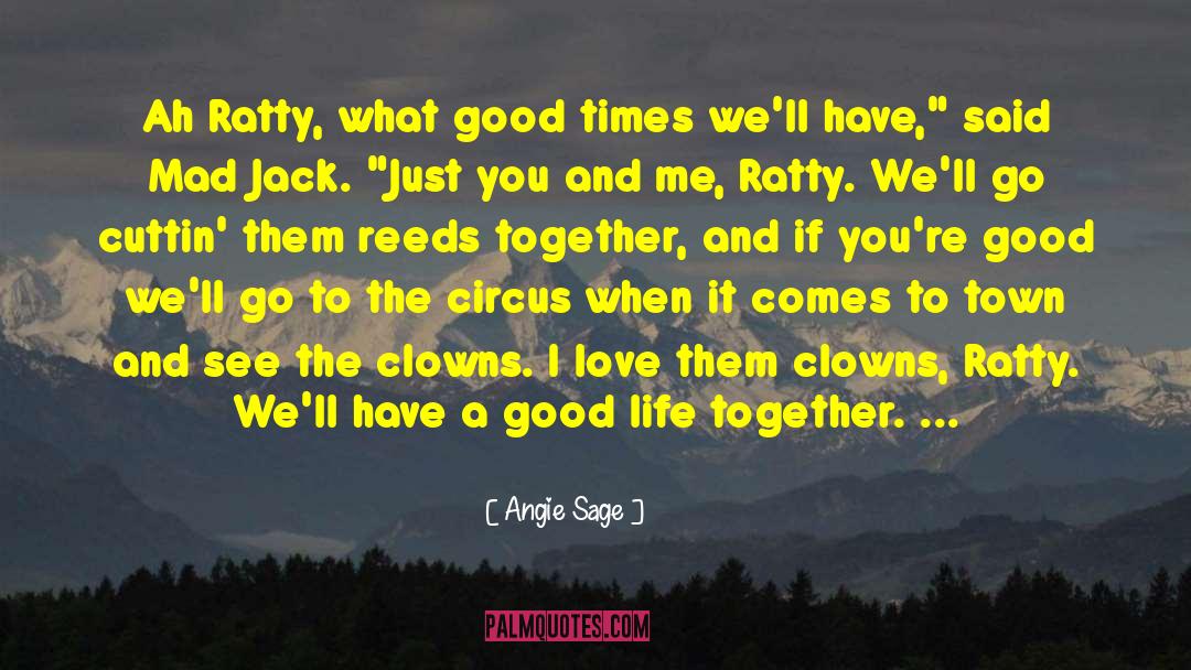 Attraction And Love quotes by Angie Sage