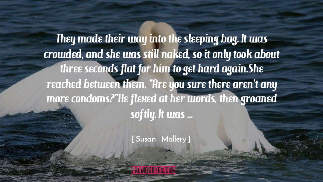 Attraction And Repulsion quotes by Susan   Mallery